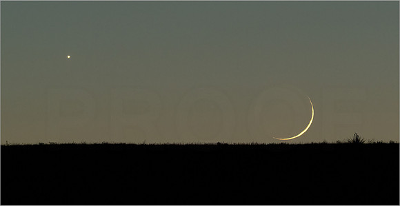 -Venus with Crescent Moon