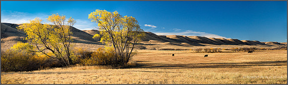 Flatwillow Creek, October 2012