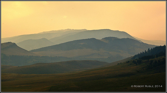 Ellis Basin