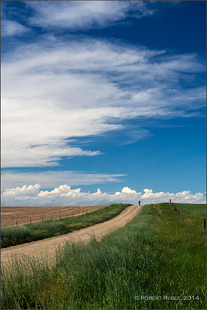 Lonesome Ride