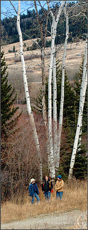 West Boulder